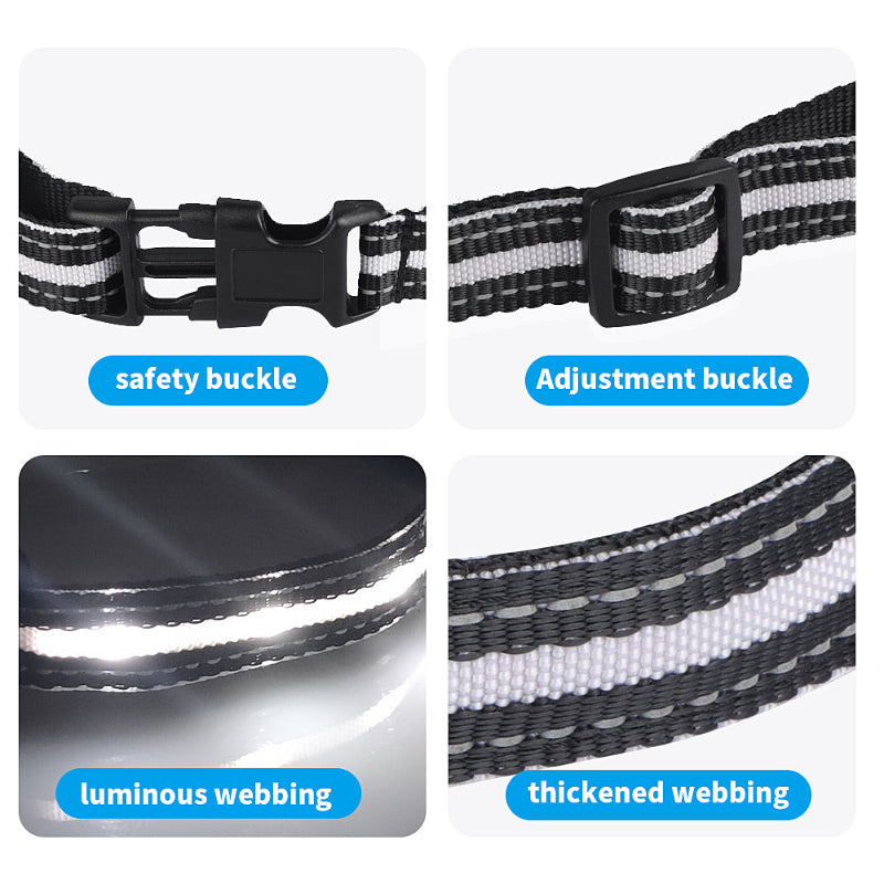 LumiCollar Smart LED Dog Collar