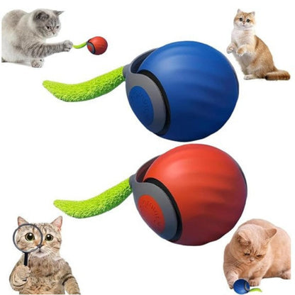 Interactive Stark Ball Dog Toy