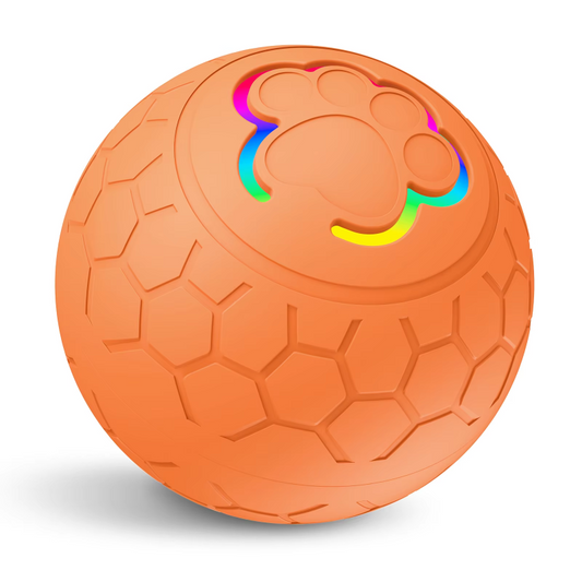 PawGlow Interactive Motion Ball