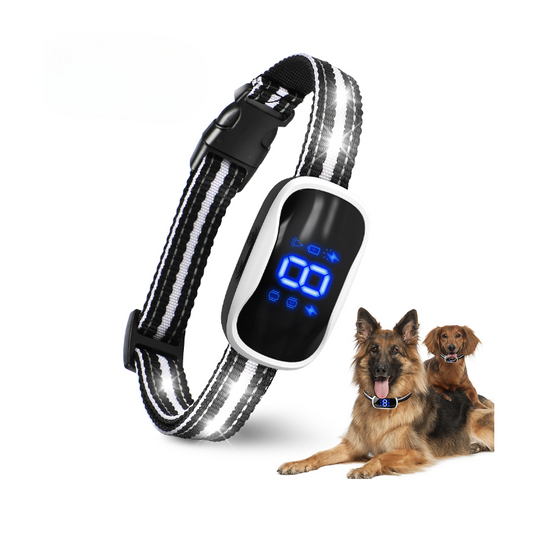 LumiCollar Smart LED Dog Collar